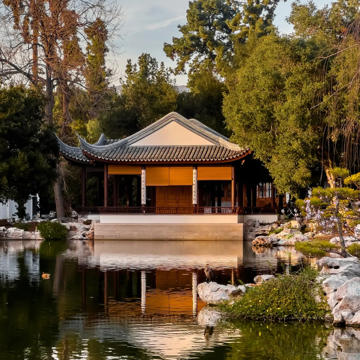 Traditional Chinese pavilion with upturned roof reflected in a calm pond, surrounded by trees and rocks in a serene garden setting.